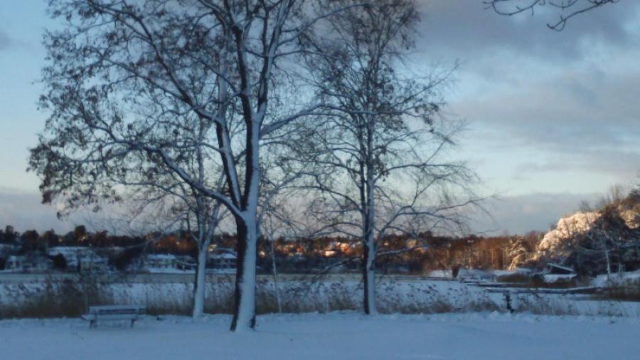 Vinter i Wallenbergparken